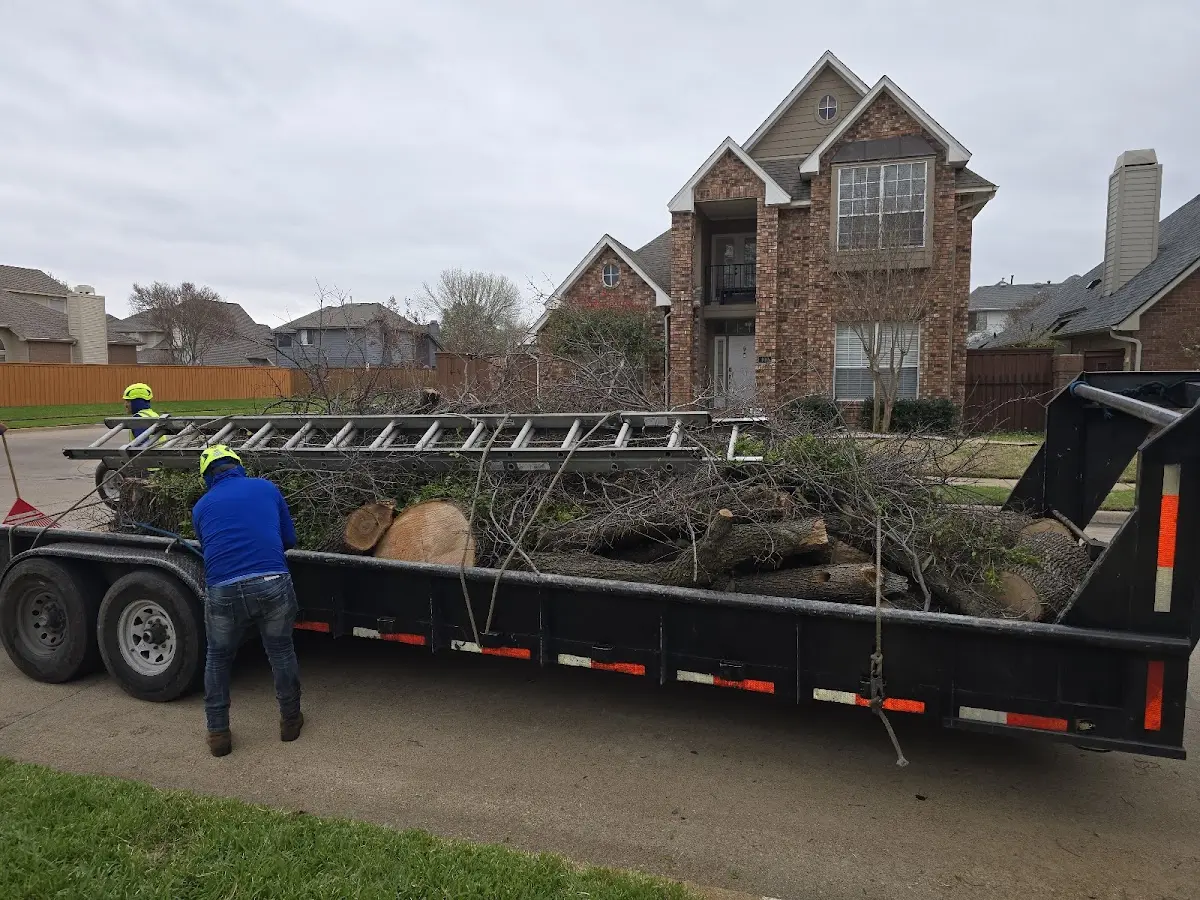 Expert Lot Clearing with proper safety equipment in Mullen